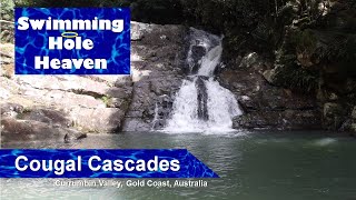 Swimming in several pools at Cougal Cascades in the Gold Coast Hinterland [upl. by Itsym223]