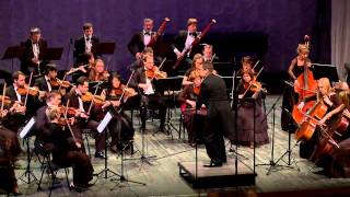 WA Mozart  Symphony No 40 gmoll  I [upl. by Yelahs]