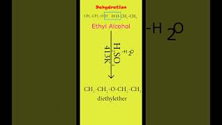 Inter molecular dehydration of alcohol  Preparation of Diethyl ether from ethyl alcohol  cbse [upl. by Ahseiym244]