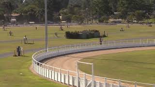 Gympie 20240615 Race 2 [upl. by Eidod]