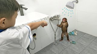 Monkey Kobi secretly hides from her mother to bathe alone [upl. by Cristoforo]