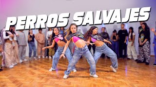 DADDY YANKEE  PERROS SALVAJES Official Video  Coreografía por Emir Abdul Gani🕺 [upl. by Oidiple821]