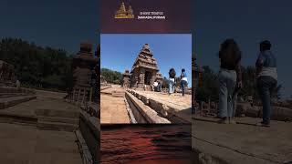 Lost And Found My Solo Trip Part 17  Shore Temple shiv shorts travelshorts [upl. by Nylkaj638]