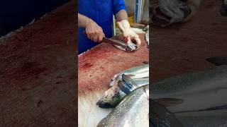 The best way to fillet trout for grilling [upl. by Relyk]