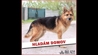 MON CHÉRI hľadá domov [upl. by Huskey5]