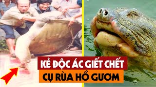 SỐC Lộ Diện Kẻ Xuống Tay Lấy Đi Mạng Sống Của Cụ Rùa Hồ Gươm  Người Dân Việt Nam Nghẹn Ngào [upl. by Darach325]