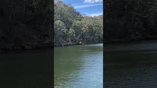 Berowra Water Sydney [upl. by Streetman155]