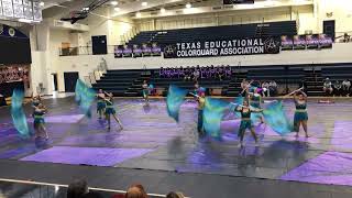 2023 TECA Pace Limelight Winterguard Arabian Nights [upl. by Agrippina878]