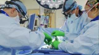 Minimally Invasive Spine Surgery [upl. by Sal]