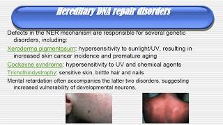 DNA damage and repair mechanism [upl. by Rhetta]