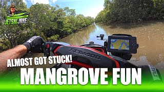 MANGROVE JETSKI MADNESS  JETSKI JAKE [upl. by Harlan]