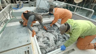 Lets Catch Some Rockfish  How Its Done Jigging in Alaska Start to Finish  Alaska Fishing [upl. by Ahsiuqel]