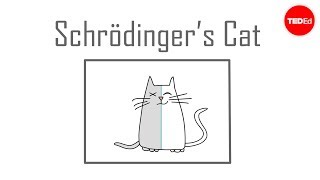 Schrödingers cat A thought experiment in quantum mechanics  Chad Orzel [upl. by Veronike]