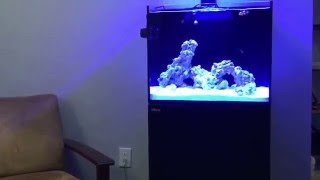 Red Sea Reefer 170 Video 14 Aquarium Move Video 4 New Apartment Set Up [upl. by Paymar]