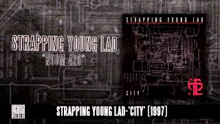 STRAPPING YOUNG LAD  Room 429 Album Track [upl. by Isied]