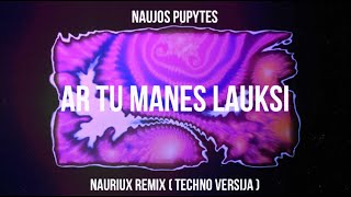 Naujos Pupytes  Ar tu manes lauksi  NAURIUX REMIX TECHNO VERSIJA [upl. by Airpac]