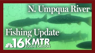 Fishing Regulations Updated for North Umpqua River [upl. by Maybelle]