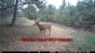 Voopeak TC22 4K Trail Camera WiFi Dual Lens Solar Integrated Game Camera with Starlight Night Vision [upl. by Hezekiah]