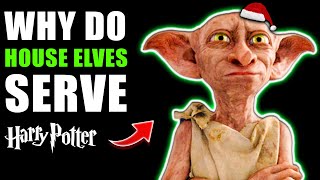 Are House Elves ENSLAVED by Santa  Why They Serve Wizardkind  Harry Potter Theory [upl. by Gnort193]