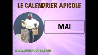 Calendrier Apicole  MAI [upl. by Barret731]