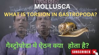 MOLLUSCA  WHAT IS TORSION IN GASTROPODA [upl. by Deragon314]