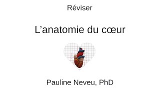 Physiologie CardioVasculaire – Réviser l’anatomie du cœur 001  Dr Pauline Neveu [upl. by Saffian882]