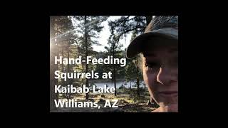 Handfeeding Wild Squirrels at Kaibab Lake Williams AZ [upl. by Rihat683]