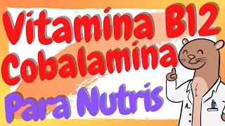 ¿Qué es la Cobalamina  Vitamina B12 en Nutrición [upl. by Cailean]