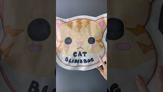 Cat Blind Bagblindbag papersquishy asmr papercraft diy sanrio youtubeshorts [upl. by Terra]