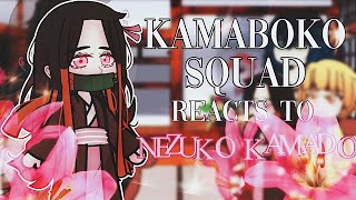 Kamaboko Squad reacts to Nezuko Kamado  MANGA SPOILERS  tomiokafangirl [upl. by Brodeur]