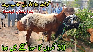 Sasta Kato Mall Big Deals Bakra Mandi Taxila Latest Update November 2024 [upl. by Hamer]