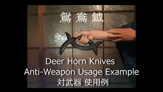 八卦掌 鴛鴦鉞 Deer Horn Knives Traditional Weapon of BaguaZhang baguazhang bagua 八卦掌 [upl. by Finbar]