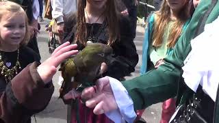 Brixham Pirate Festival 4524 [upl. by Aicenert]