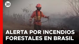 Científicos alertan de incendios mas fuertes por cambio climático en Brasil [upl. by Mayer]