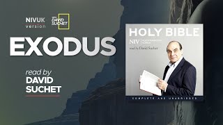 The Complete Holy Bible  NIVUK Audio Bible  2 Exodus [upl. by Janenna]