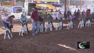 Eddy County Fair Breeding and Market Goat Show [upl. by Patricio]