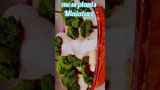 How to make moss plants miniature Garden मॉस प्लांट मिनिएचर गार्डन⛰️🏞 [upl. by Kolosick]