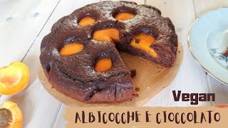 TORTA ALBICOCCHE E CIOCCOLATO super morbida  vegan [upl. by Kathlene294]