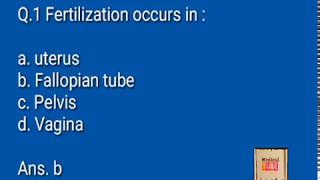 Nurse Preparation Questions  Obstetrics and Gynecology [upl. by Rodmann]