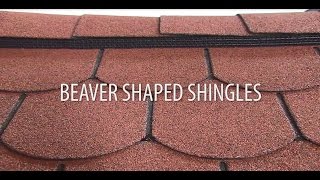 Installing beaver shaped roof shingles [upl. by Eikcaj]