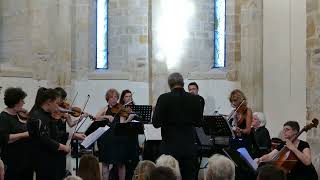 Rondeau concerto n5 pour violon  MOZART [upl. by Alamat]