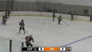 Hurricanes 3 Knights 4 OT [upl. by Phipps]