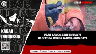 ULAR SANCA BERSEMBUNYI DI SEPEDA MOTOR WARGA SURABAYA [upl. by Hteb]