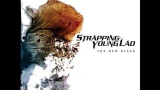 Strapping Young Lad  The New Black Full Album [upl. by Dedra621]