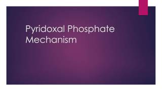 Pyridoxal Phosphate PLP Mechanism Explained [upl. by Hollerman618]