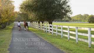 Unexpected Miracles  Horses Healing Humans [upl. by Coshow]