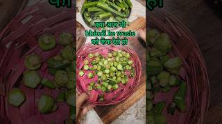 bhindi waste banefit ✅ for hair natural conditionar shorts kitchenhacks hairtips bhindi [upl. by Andaira726]