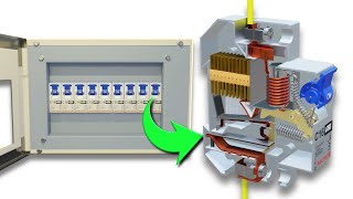 Inside a Thermal Magnetic Circuit Breaker [upl. by Ariella]