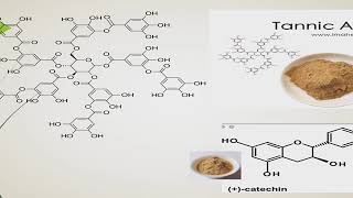 cours 5 quantification composés phénoliques [upl. by Nahtanod642]