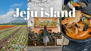 3 day Trip to Jeju Island Without a Car Flower fields aesthetic cafes what I ate Korea VLOG [upl. by Robers]